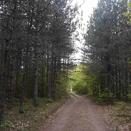 Farm stay Zlatiborska Seoska Idila *