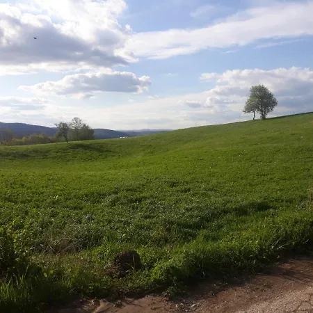 Zlatiborska Seoska Idila Farm stay *