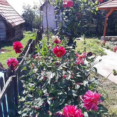 Zlatiborska Seoska Idila Farm stay *