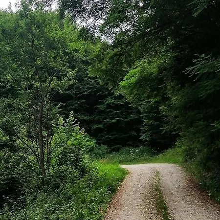 Zlatiborska Seoska Idila Farma Zlatibor