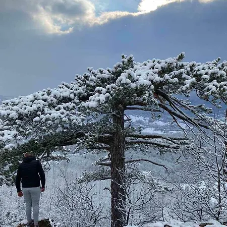 Zlatiborska Seoska Idila Farma