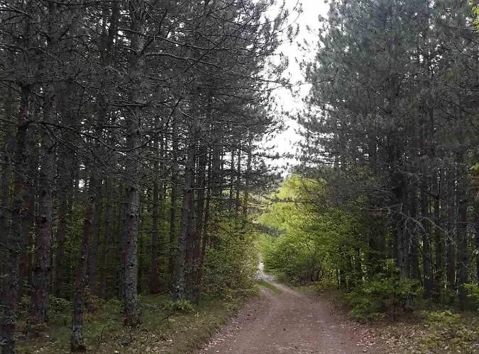 Smještaj na farmi Zlatiborska Seoska Idila *