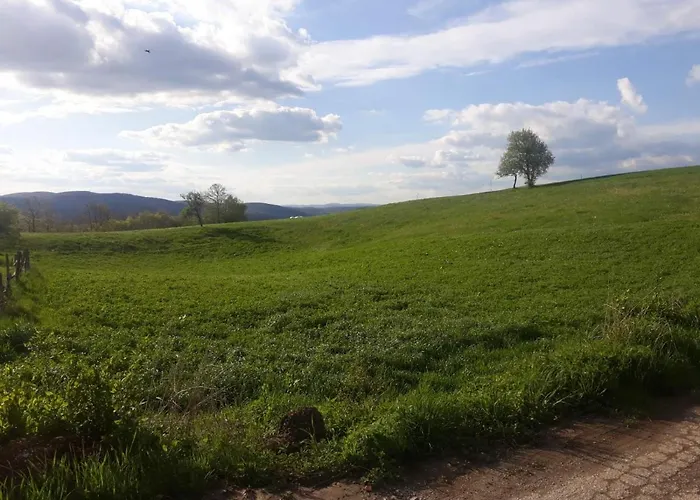Zlatiborska Seoska Idila Smještaj na farmi *