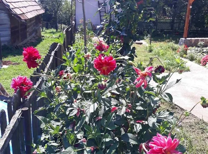 Zlatiborska Seoska Idila Smještaj na farmi *