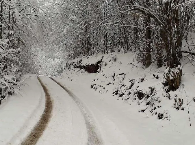 Zlatiborska Seoska Idila Zlatibor