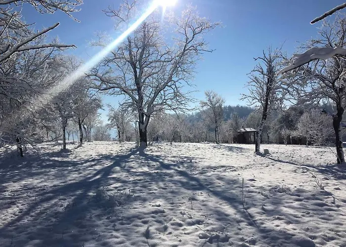 Smještaj na farmi Zlatiborska Seoska Idila