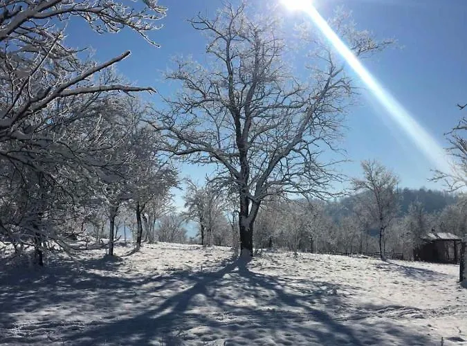 Zlatiborska Seoska Idila *