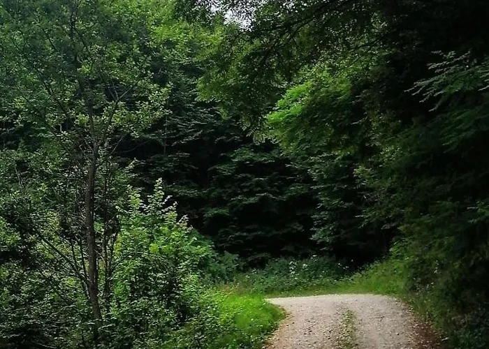 Zlatiborska Seoska Idila Smještaj na farmi Zlatibor