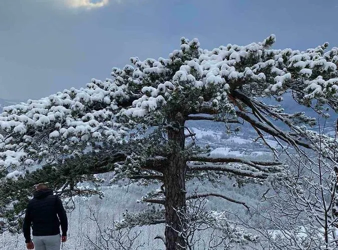 Zlatiborska Seoska Idila Smještaj na farmi